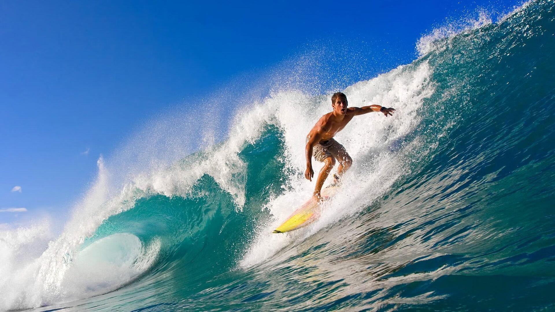 关注——足球裁判员职业发展路径逐步完善，足球裁判员主要职责